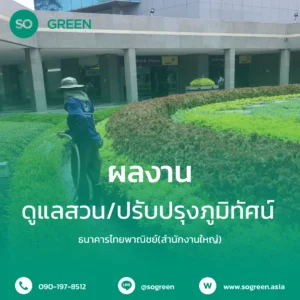 ธนาคารไทยพาณิชย์