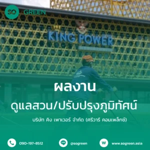 king power