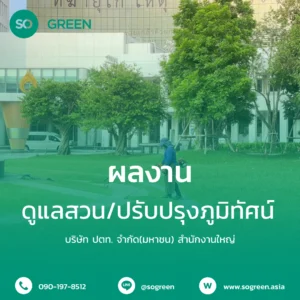 ปตท