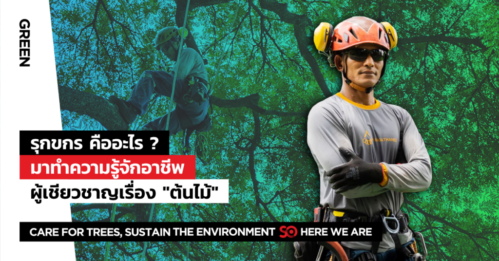 รุกขกร
