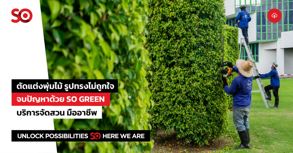 ตัดแต่งพุ่มไม้