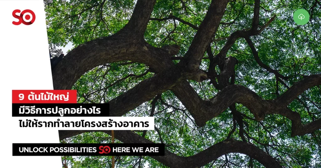 āļāđāļāđāļĄāđāđāļŦāļāđ
