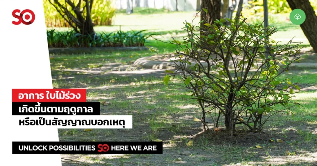 āđāļāđāļĄāđāļĢāđāļ§āļ