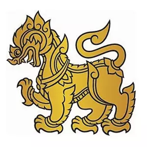 AnyConv.com__singha