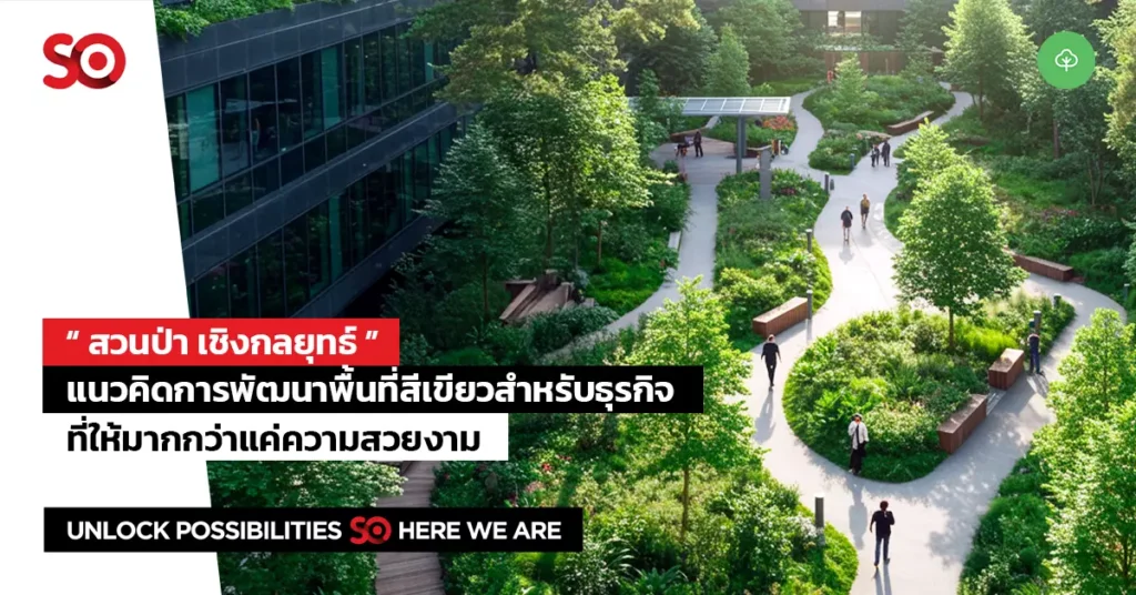 สวนป่า
