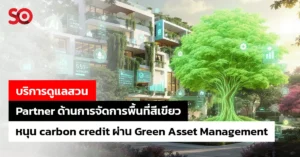 carbon credit